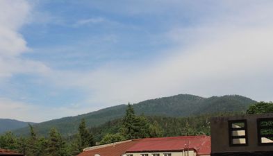 Apartment near the museum in Borjomi_4